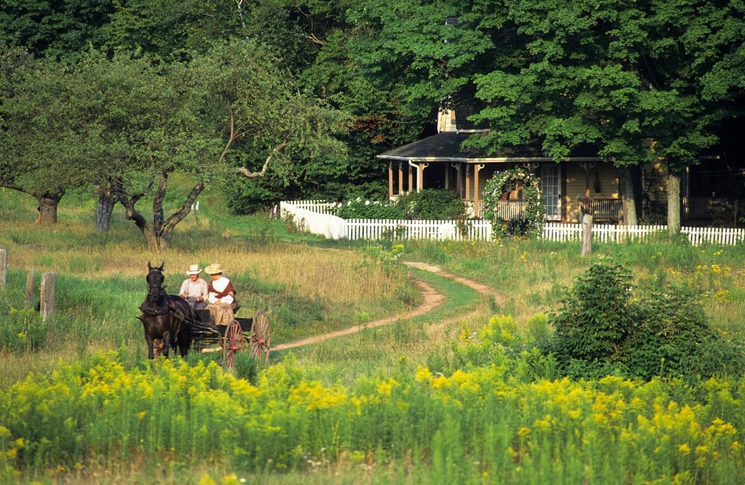 Anne of Green Gables: Blog